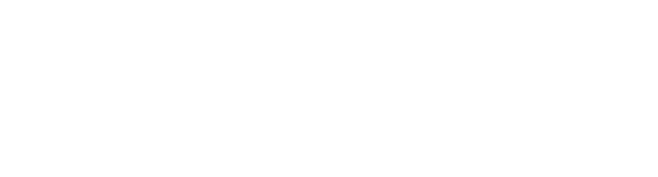 格式