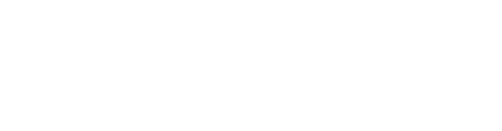 格式